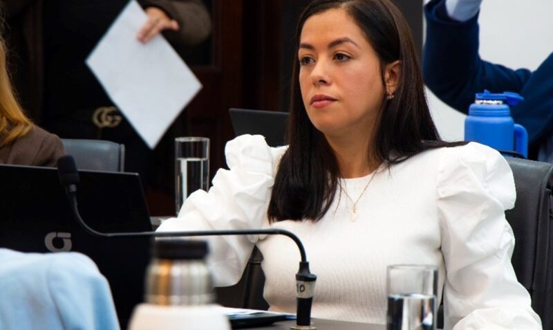 Prohibición trapitos Posadas proyecto de ordenanza Valeria Gómez de Oliveira