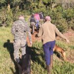 Alerta en Picada Verde: un colono escuchó rugidos de puma y temen nuevos ataques en las chacras de Alem