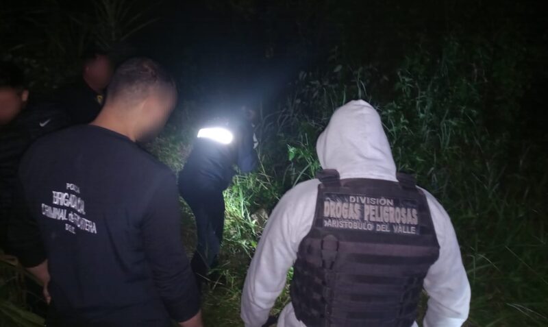 Drogas Peligrosas secuestro marihuana Alba Posse Montecarlo