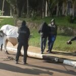 Almafuerte: Frustraron el robo de ganado y detuvieron a un joven durante la madrugada