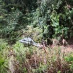 Agarraron un enorme charco de agua a alta velocidad y terminaron en una zanja