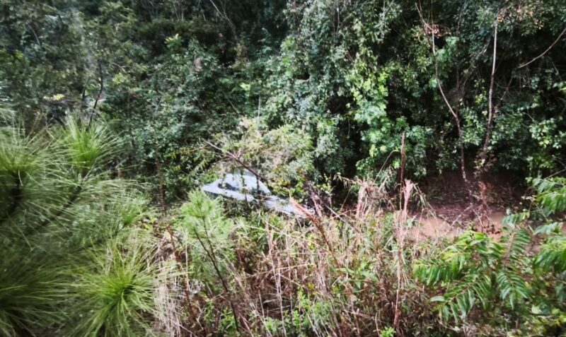 despiste Santa Ana Ruta Nacional 12 espejo de agua Volkswagen Voyage