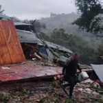 Un enorme árbol se desplomó por la tormenta y aplastó el techo de una casa