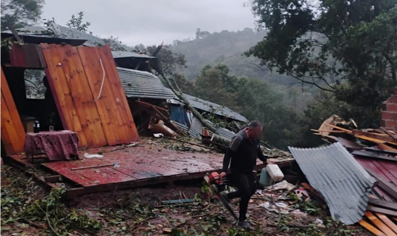 temporal Bernardo de Irigoyen caída de árbol vivienda
