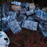 Desmantelaron un mega campamento clandestino y secuestraron un descomunal cargamento oculto entre la maleza