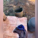Se descuidaron unos minutos mientras cocinaban y encontraron a un nene atrapado adentro de un tambor de agua
