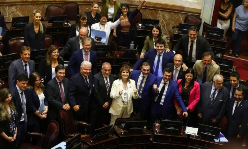 interna oficialista Senado ley Hojarasca Reforma Electoral Patricia Bullrich