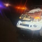 Una camioneta embistió a un caballo suelto y el conductor terminó en el hospital