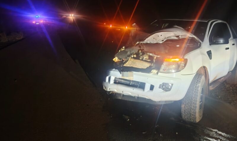 choque Tres Capones Ruta Costera 2 Ford Ranger Matias P caballo suelto