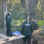 Realizaba tareas de mantenimiento con árboles, sufrió un brutal golpe en la cabeza y perdió la vida