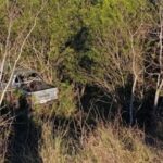 Una camioneta despistó sobre la Ruta 3 y la encontraron tirada entre las malezas