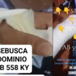 «Me dejó tirado en el asfalto solo como a un perro», un vecino de Posadas busca al conductor de un Peugeot negro