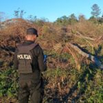 Un tarefero falleció tras sufrir un grave accidente laboral en El Soberbio