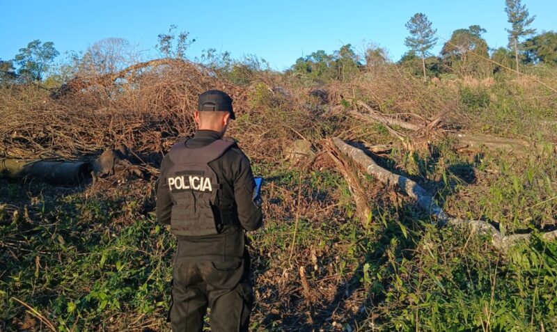 trabajador rural murió El Soberbio aplastado por un árbol