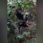 Localizaron restos biológicos en un sector de reserva y analizan antiguos pedidos de paradero