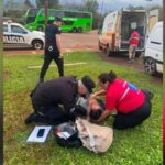 Santa Ana: Perdió el control de la moto, chocó contra un barranco de tierra y dos personas terminaron hospitalizadas