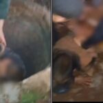 Azara: Cayó a un pozo de 15 metros de profundidad y la Policía montó un operativo con sogas para alcanzarlo