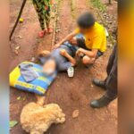 GARUPÁ: Un adulto mayor sufrió heridas tras caer de gran altura mientras juntaba frutas