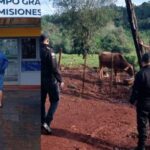 Campo Grande: Robó dos vacunos a un agricultor, se los vendió a un vecino y terminó tras las rejas